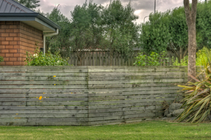 Fences